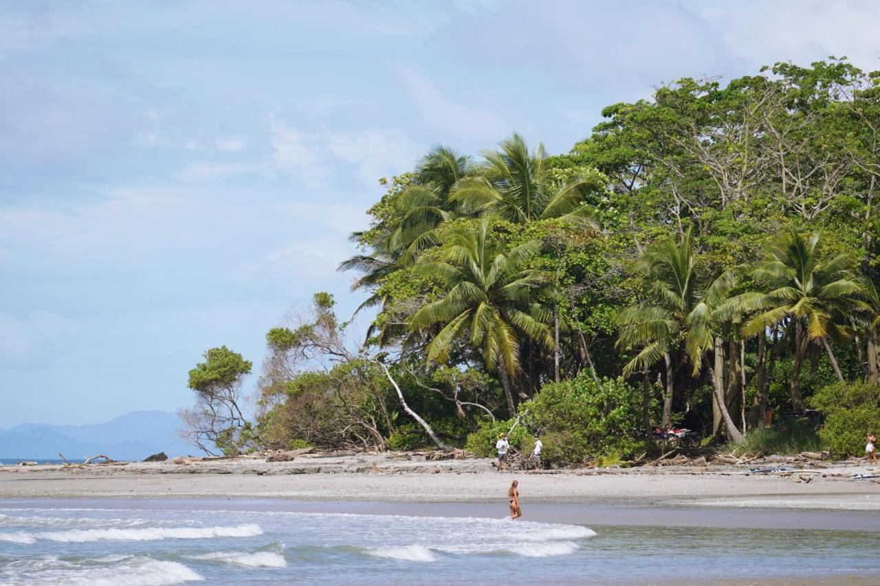 Nautilus Surf & Yoga Villas Santa Teresa Playa Santa Teresa  Екстер'єр фото