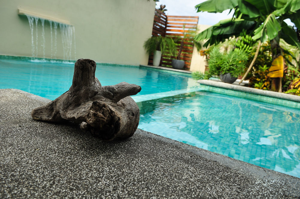 Nautilus Surf & Yoga Villas Santa Teresa Playa Santa Teresa  Екстер'єр фото